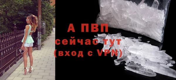 СК Волоколамск