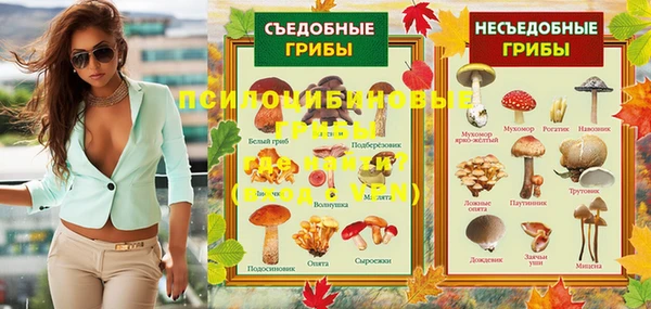 эйфоретик Вяземский