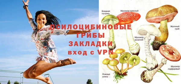 СК Волоколамск