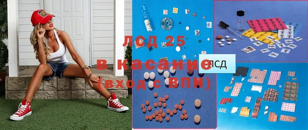 СК Волоколамск