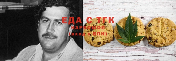 СК Волоколамск